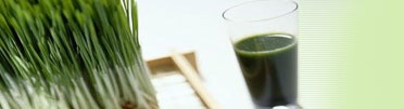 Vegetarian Thai Drink